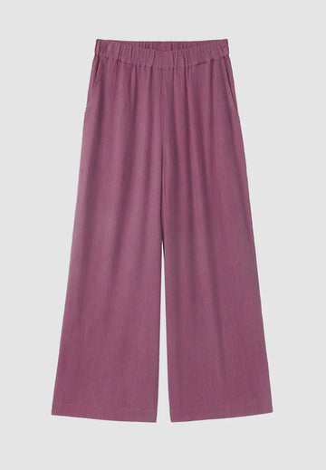 Hose Mandevilla dark tulip | recolution