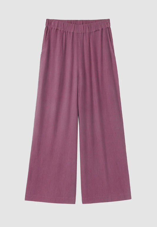 Hose Mandevilla dark tulip | recolution