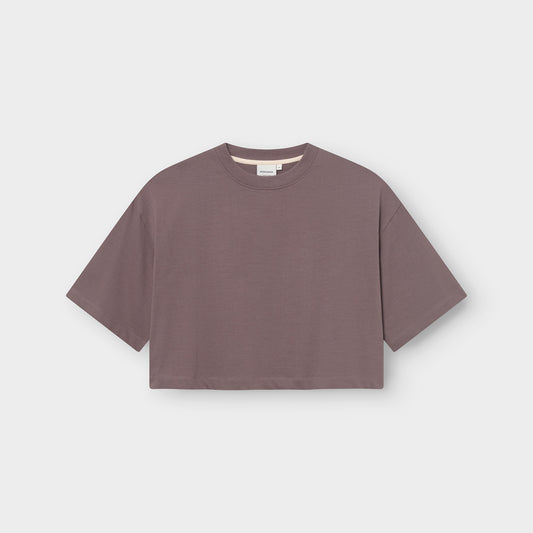 T-shirt Ljusdal Sparrow Brown | DEDICATED