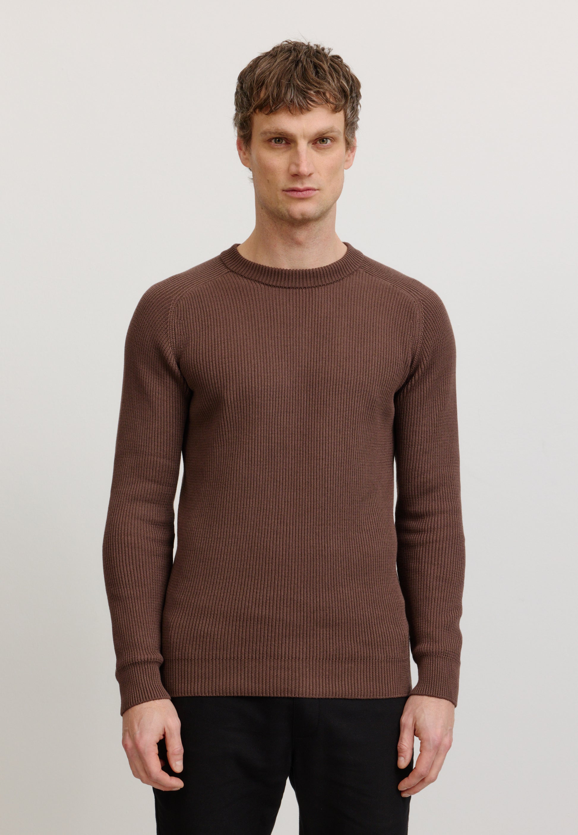Pullover SALVIA taupe | recolution