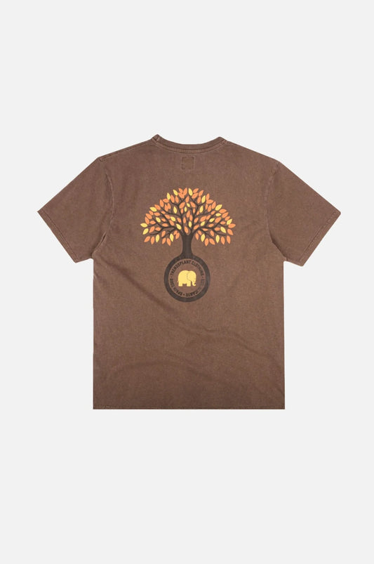 T-Shirt Fafe Pigment Chestnut | trendsplant