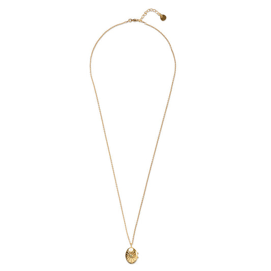 Oval Locket Small Peridot Halskette | a Beautiful Story