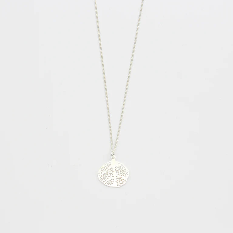 Ketten div. Modelle | Jewelberry