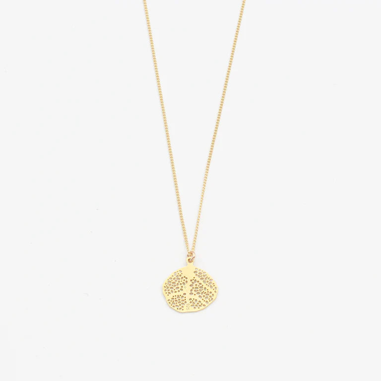 Ketten div. Modelle | Jewelberry