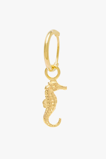 Ohrring Seahorse Gold | wildthings