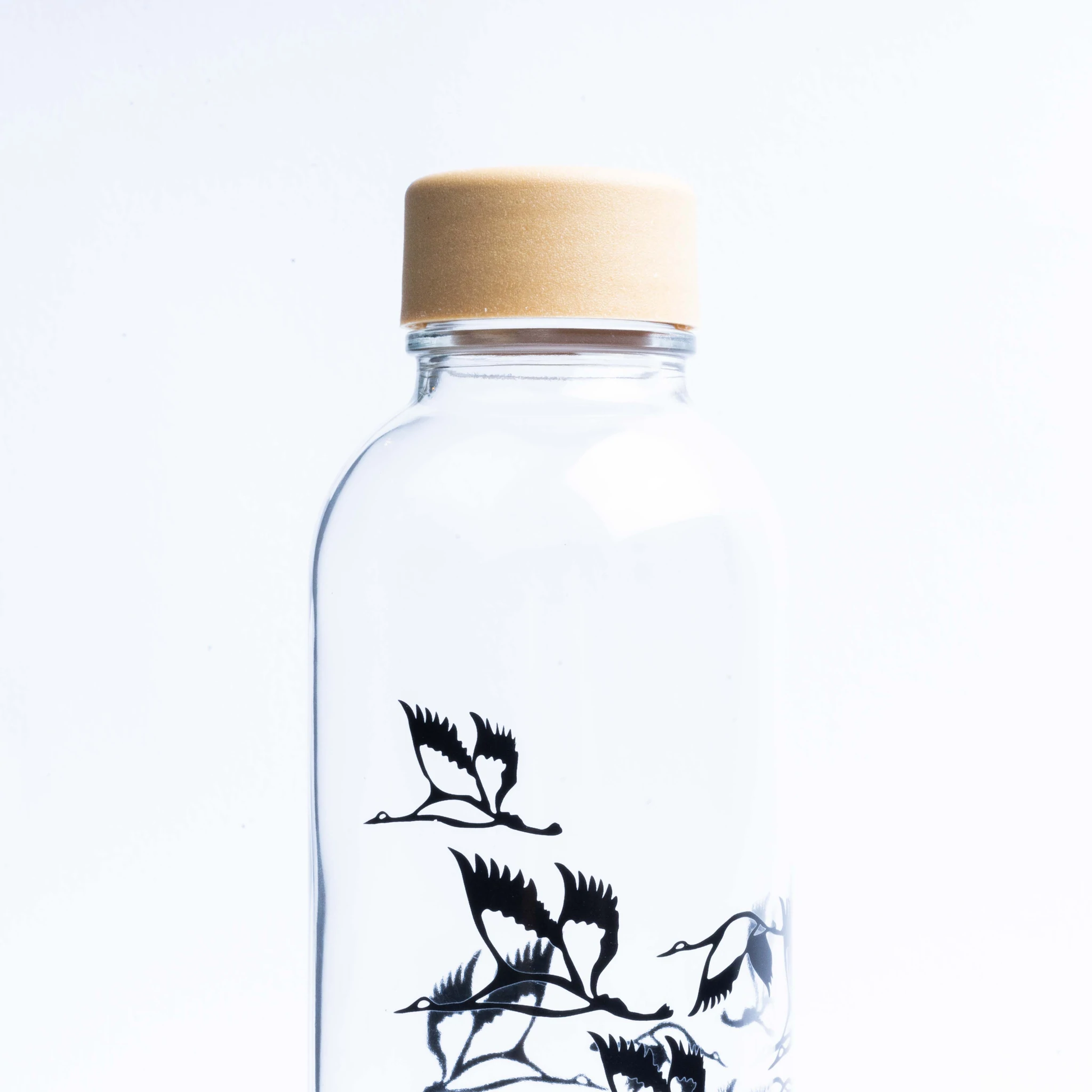 Trinkflasche aus Glas 0,7 l div. Designs | CARRY Bottles