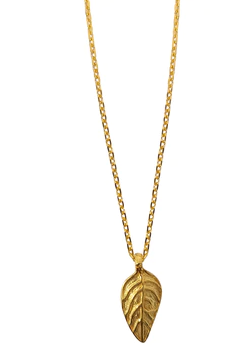 Halskette Curryblatt Gold | CO&LOMBO