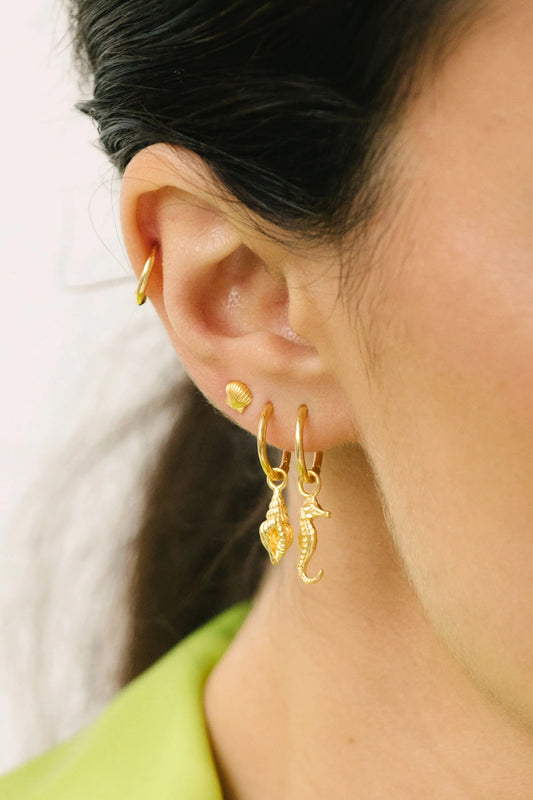 Ohrring Seahorse Gold | wildthings