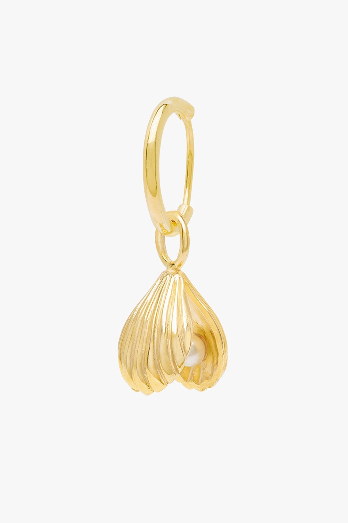 Ohrring Clam shell Gold | wildthings