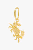 Ohrring Crab Gold | wildthings