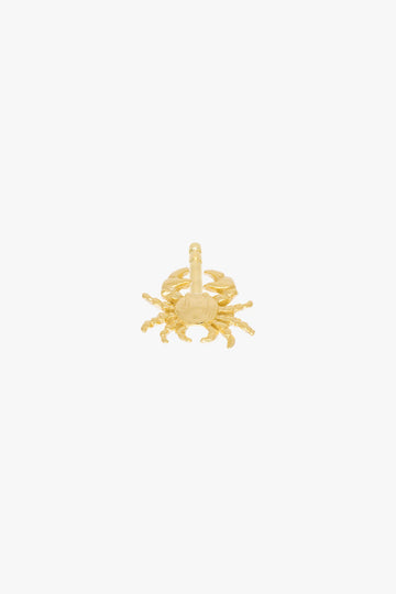 Ohrstecker Crab stud Gold | wildthings