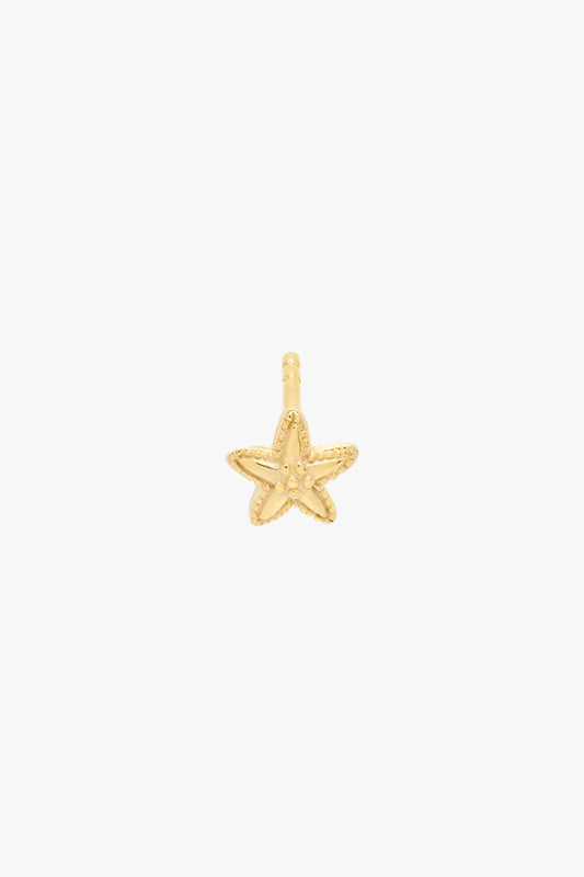 Ohrstecker Starfish stud Gold | wildthings